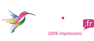 CSPrint.fr